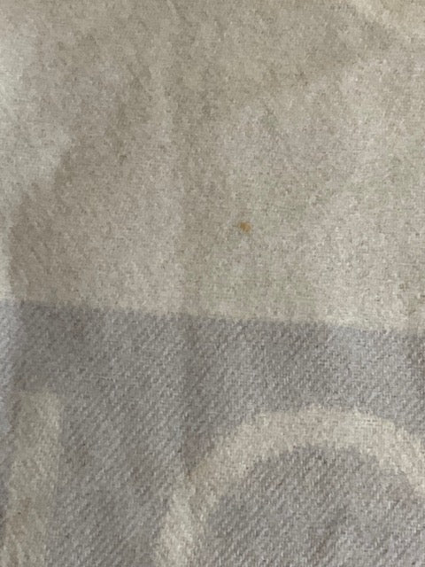 Louis Vuitton Cashmere Scarf