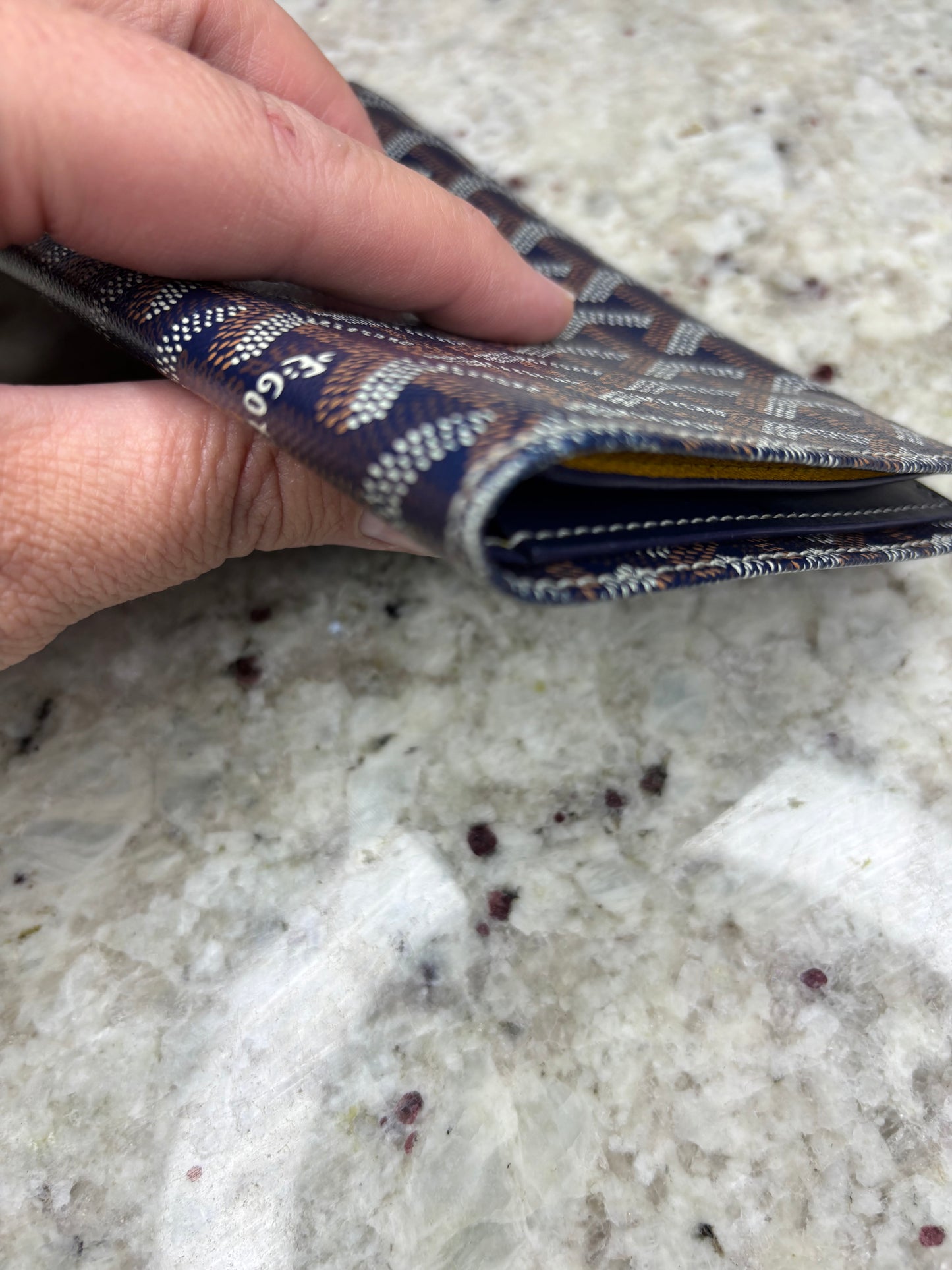 Goyard wallet/organizer